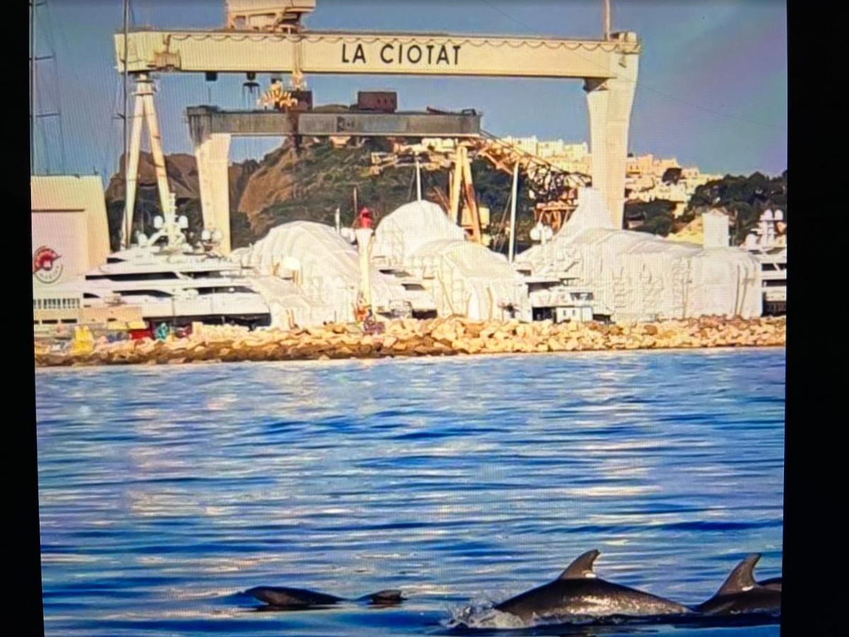 Clos Des Plages Maison De Vacances 라시오타 외부 사진